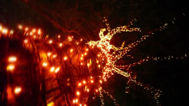 Ghirlanda su albero al buio, vista dal basso con rotazione — Video Stock