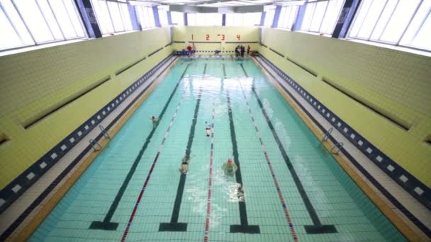 Varios niños nadan en la piscina en pistas — Vídeo de stock