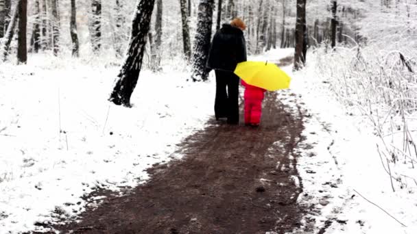 Vrouw en meisje wandelen door het synthesetraject sneeuw bedekte park hand in hand — Stockvideo
