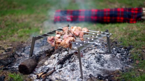 Spiesjes met kebab op sintels op gras — Stockvideo