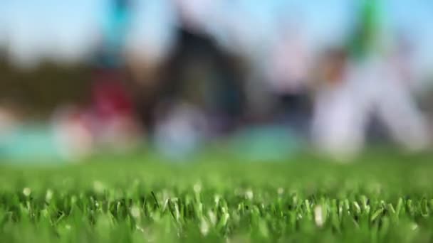 Массовый фитнес на стадионе в солнечный осенний день — стоковое видео