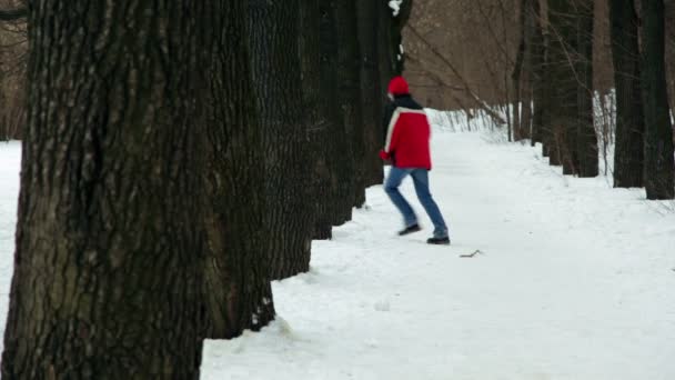 Man snake runs among trees on park alley — Stock Video