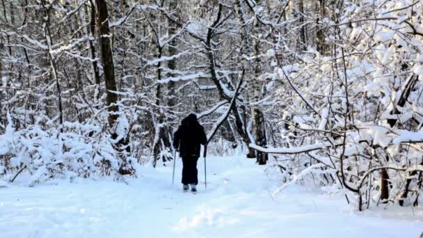 Niño esquiando en ropa deportiva caliente en el bosque cubierto de nieve — Vídeos de Stock
