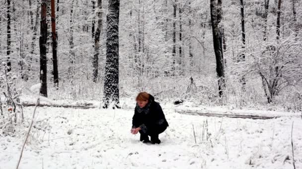 女人走更接近在森林在哪里都覆盖着白雪 — 图库视频影像