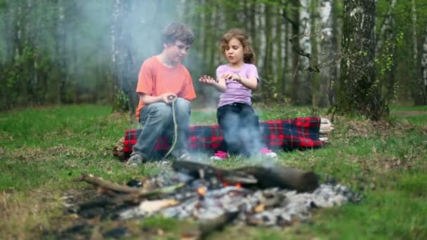 Gutt og jente sitter på stokk og ser på bål brenne – stockvideo