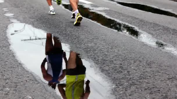 Спортсмены бегают по мокрому асфальту на XXX Московском международном мирном марафоне — стоковое видео