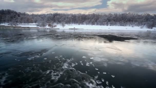 Ліс на березі взимку — стокове відео