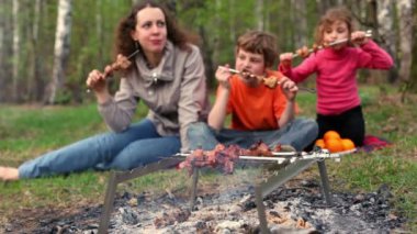 Anne ve çocuklar ekose tarafından çim kapağında oturup Kebap şişler üzerinde yer