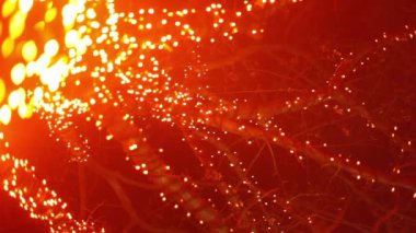 Soluk verme ve çelenk içinde karanlık, ağaç üzerinde görüntülemek aşağıdan