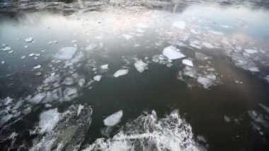 nehir, orman kıyısında yansıtan buz Lagoon