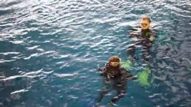 dalgıçlar yüzme havuzunda su yüzeyinde yüzen