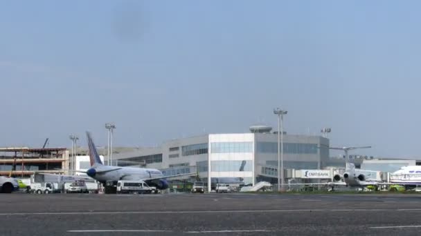 Airbus TRUNSAERO stand en el campo de Domodedovo aeropuerto — Vídeos de Stock