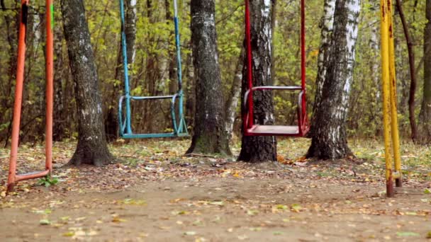 Pair of empty metallic swing sway on grove — Stock Video