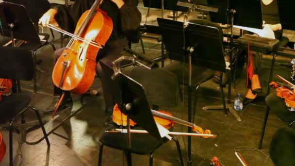 Violoncello on which is played by musician in theatrical pew — Stock Video