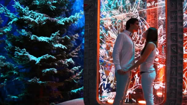Paar staat binnen verlichte gazebo in winter bos — Stockvideo