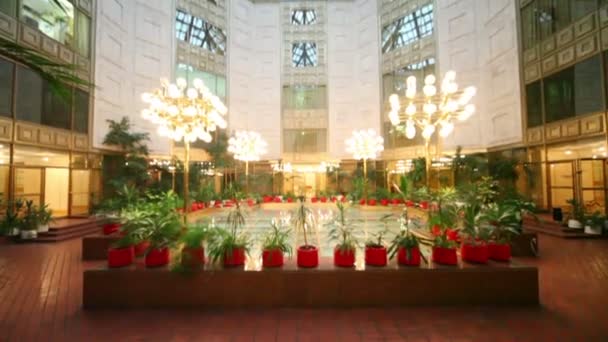 Winter garden under glass roof, many plants around — Stock Video