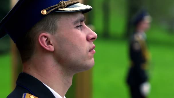 Soldado de guarda de honra, seu rosto mostrado em perfil — Vídeo de Stock