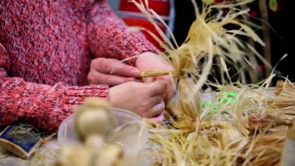 Process of bast braiding lesson — Stock Video