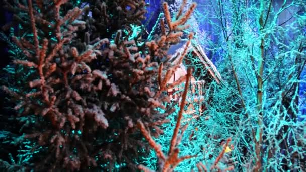 Drewniany dom w odległości w zimowym lesie — Wideo stockowe