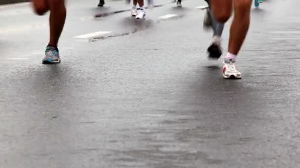Jambes en tenue de sport et chaussures de jogging sur asphalte mouillé au XXX Moscow International Peace Marathon — Video