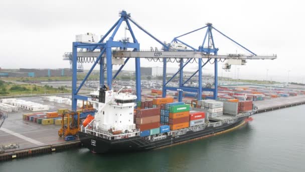 Cranes load ship in port — Stock Video