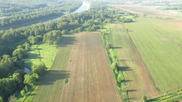 Vlucht boven bos in aerostat, uitzicht vanaf gondel — Stockvideo