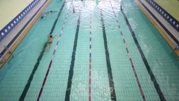 Coach swimming to children in pool, women teach boy how to swim — Stock Video