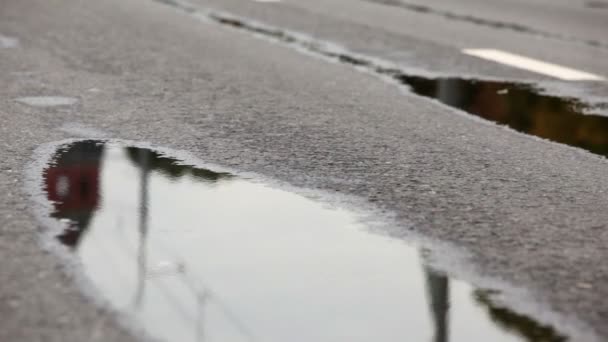 Männerbeine laufen nacheinander auf nassem Asphalt beim internationalen Moskauer Friedensmarathon — Stockvideo