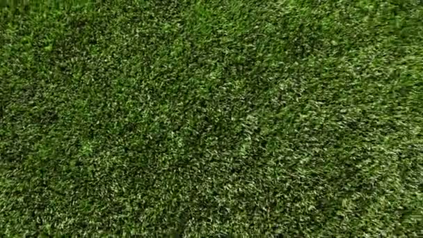 Green artificial grass of soccer field, part of gate for soccer with net — Stock Video