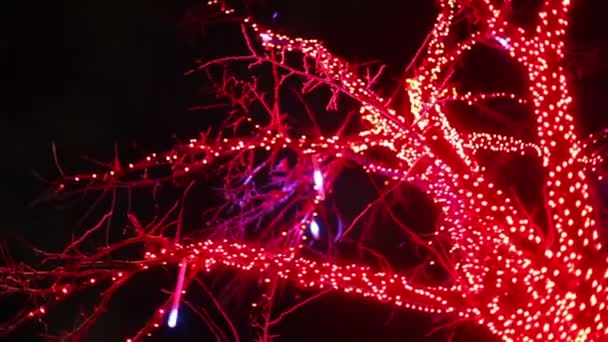 Trädet dekorerade av garland, lampor blinkar — Stockvideo