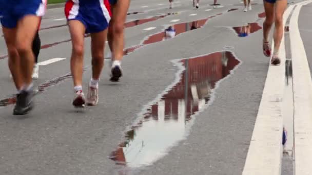 As pessoas correm em roupas esportivas e sapatos de corrida em asfalto molhado com marcação de estrada — Vídeo de Stock