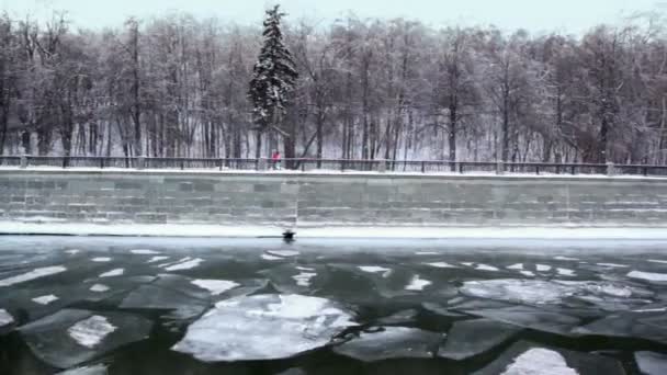 Passeio de parede, floresta na costa no inverno — Vídeo de Stock