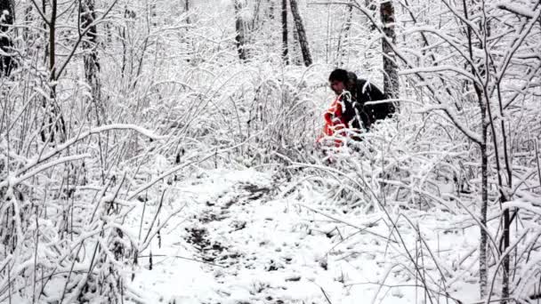 Mutter spaziert mit ihrem Kind im Gebüsch im Wald, wo alles mit Schnee bedeckt ist — Stockvideo