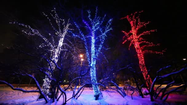 Three trees decorated with garlands stand near road on which vehicles travel — Stock Video