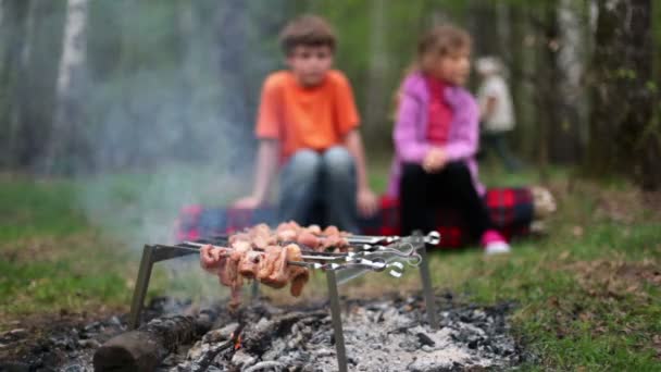 Junge und kleines Mädchen sitzen auf Baumstämmen und beobachten frisches Fleisch auf Glut — Stockvideo