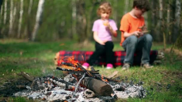 Băiat și fetiță stau pe buștean, beau suc și privesc la foc de tabără — Videoclip de stoc