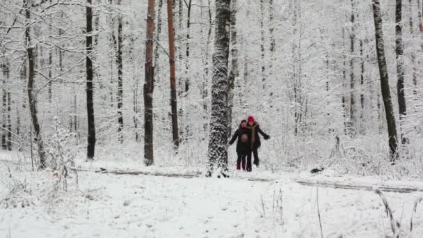 Zwei Mädchen laufen sich im Wald näher — Stockvideo