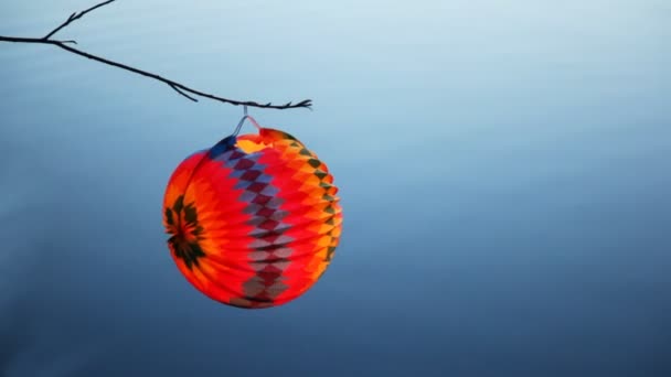 Paper ball hang on branch above lake — Stock Video