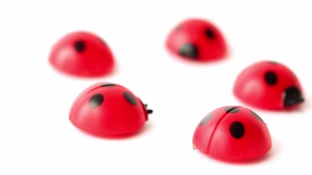 Five toy ladybugs lay in ring — Stock Video
