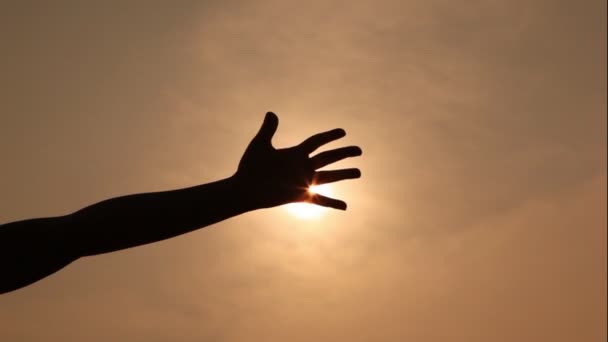 Mano con una palma abierta se mueve contra el sol como si se tratara de ella — Vídeo de stock