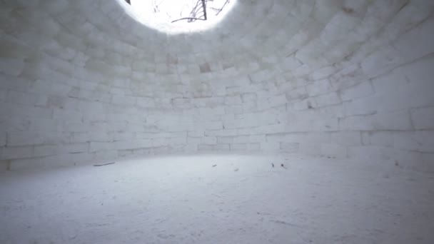 A l'intérieur maison vide de glace, eskimo igloo, arbres visibles à travers un trou dans le toit — Video