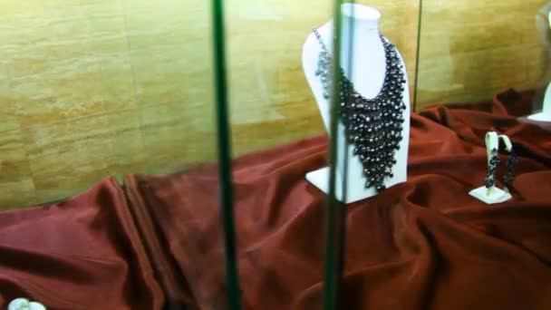 展示珠宝沙龙 estet 中的一个存储区中的脖子上 — 图库视频影像