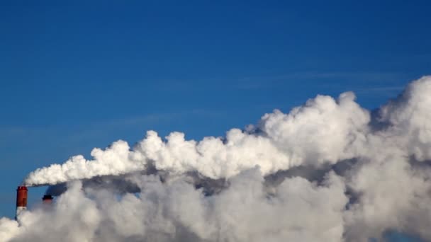 Zwei Röhren, aus denen weißer Rauch gegen den Himmel steigt — Stockvideo