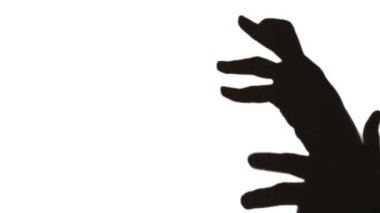 gopher ya da beyaz üzerinde çalışan küçük köpek gölgesinde