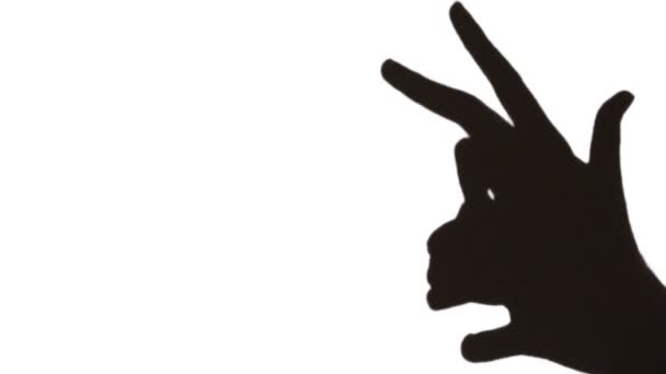 Las manos hacen sombra en forma de cabra que corre sobre blanco — Vídeos de Stock