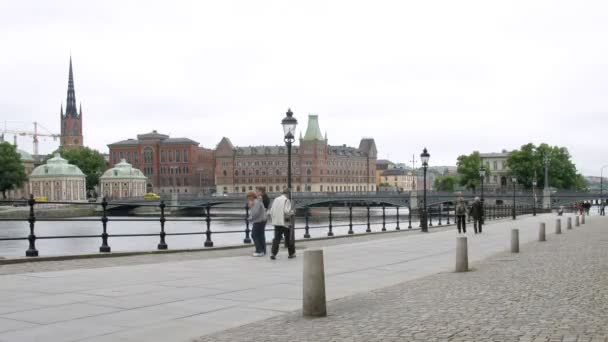 Ludzie przechodzą przed Vasa — Wideo stockowe