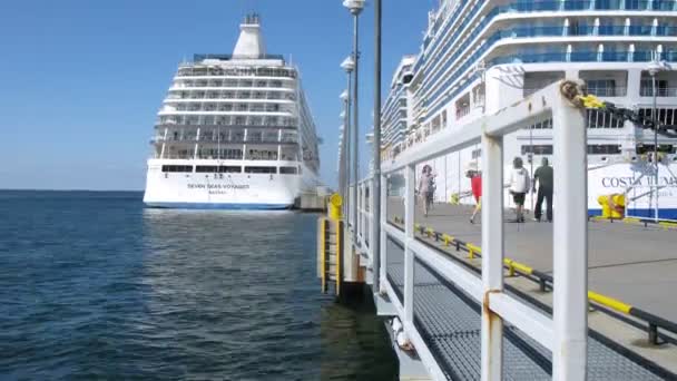 Deux paquebots de croisière stationnés à baie — Video