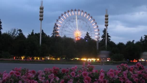 Ludzie chodzą na vdnh w pobliżu duże koła przed kwiat łóżko — Wideo stockowe