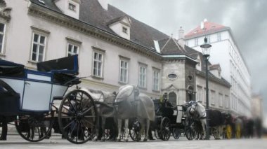 at temelli taşıma tezgahı ile stephansdom, Viyana hofburg Sarayı