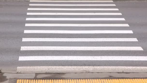 Bilar gå snabbt på övergångsställe nära trottoaren — Stockvideo